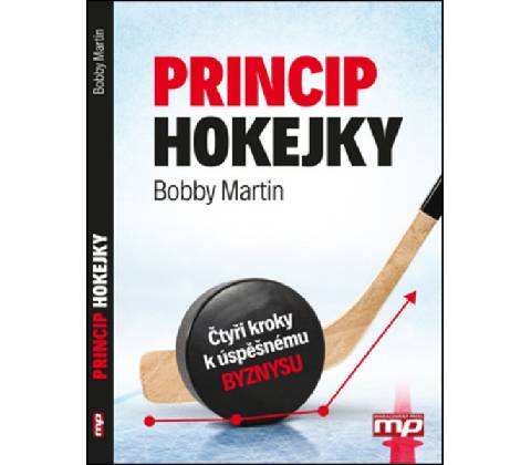 Princip hokejky