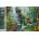 Norimpex - Puzzle Diamond Painting Dinosaurí svet 30x40cm - 1 - 39 piese