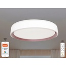 Nedes LC902M
