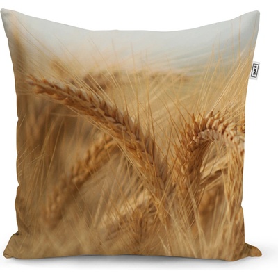 Sablio vankúš Klasy 2 60x60