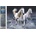 Norimpex - Puzzle Diamant painting: Galloping Whites 30x40cm - 1 - 39 piese