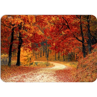 PokojovaDekorace.cz prostírání 752 Les 43x30cm