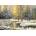 Norimpex - Puzzle Diamant painting: Forest with a lonely hut 30x40cm - 1 - 39 piese