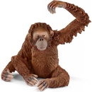 Figúrky a zvieratká Schleich 14775 divoké zvieratko opica orangutan samica