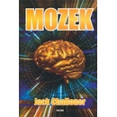 The Brain Mozek