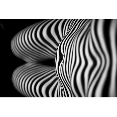 Fotografie - Gårdestig, Anders: Projekce - reprodukce obrazu