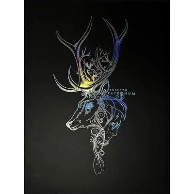 imago Obraz Harry Potter - Patronus