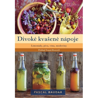 Divoké kvašené nápoje
