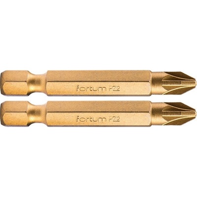 Fortum PZ2x50mm 2ks 4741382