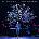 Rufus Wainwright - Rufus Wainwright And Amsterdam Sinfonietta (Live) (LP) (4050538698435)