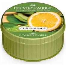 Country Candle Citrus & Sage 35 g