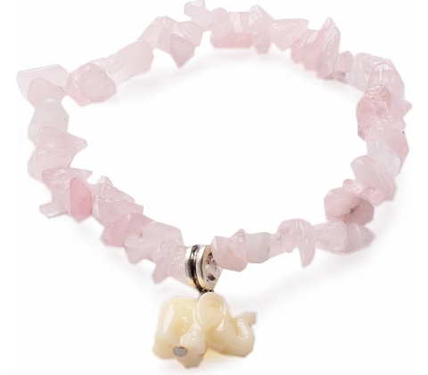 Nefertitis NF15890