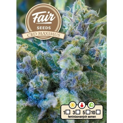 FAIR SEEDS CBD Maximus semienka neobsahujú THC 10 ks