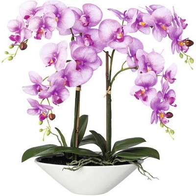 Umelá orchidea phalaenopsis 53 cm ružovo-fialová v keramickej miske 30,5 x 14 x 9 ,5 cm Real Touch