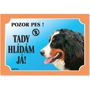 Dafiko Tabulka bernský salašnický pes