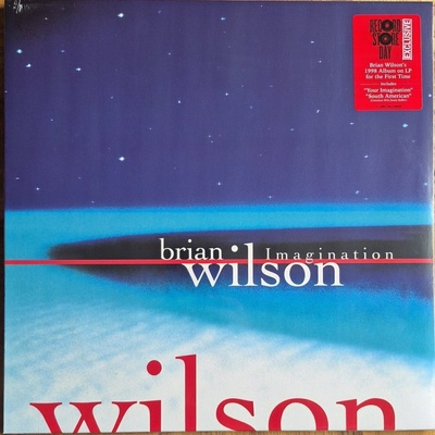 Brian Wilson - Imagination (LP) (<![CDATA[0081227806583]]>)