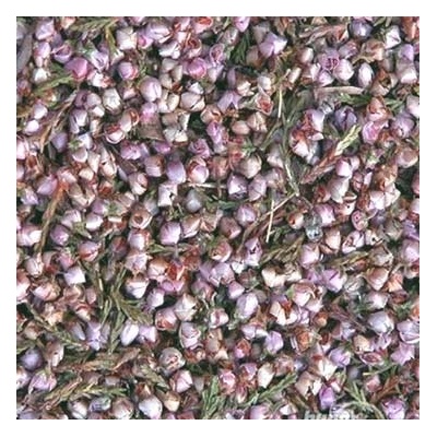World Herbs Vřes obecný květ Ericae flos 1000 g