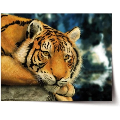 Sablio Plagát tiger - 90x60 cm