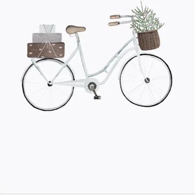 Eulenschnitt Akvarelová karta - Christmas Bicycle