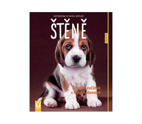 Štěně