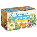 Green idea Lymforegen na lymfatický systém bylinný čaj 20 x 1,5 g