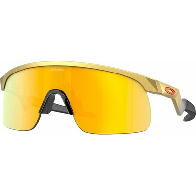 Oakley 90100823