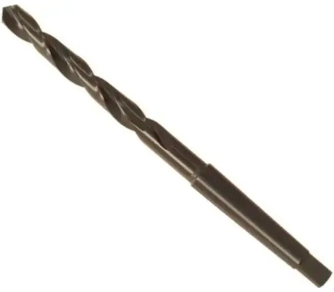 Fortis EDE10241700