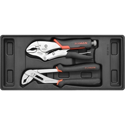 Fixman F1.BT08