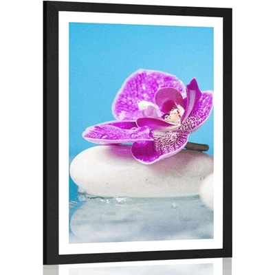 Plakát s paspartou orchidej a Zen kameny - 40x60 silver