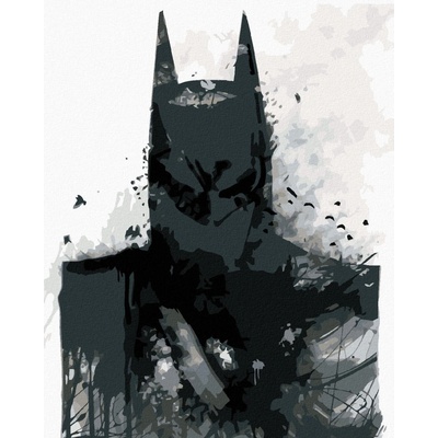 Zuty Temný batman v černobílé 40 x 50 cm vypnuté plátno na rám 8596530134619