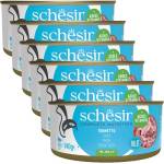 Schesir котка тон на желе 6 x 140 г