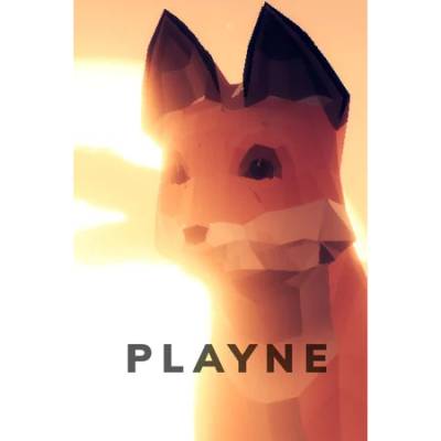 Vismaya PLAYNE The Meditation Game (PC)