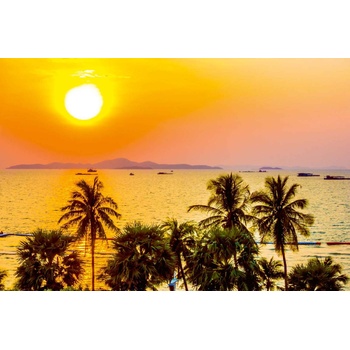 DIMEX ART s. r. o Флизелинов фототапет силует на палма 375 x 250 см