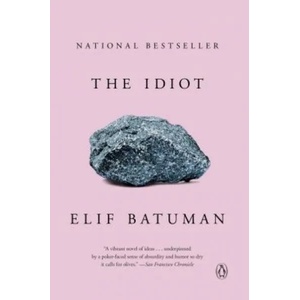 The Idiot (ISBN: 9780143111061)