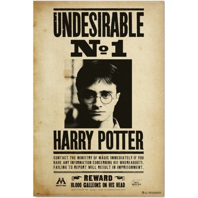 Plakát Harry Potter: Nežádoucí No.1 (61 x 91,5 cm) 150 g