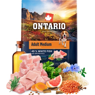 Ontario Adult Medium Fish & Brown Rice 2,25 kg