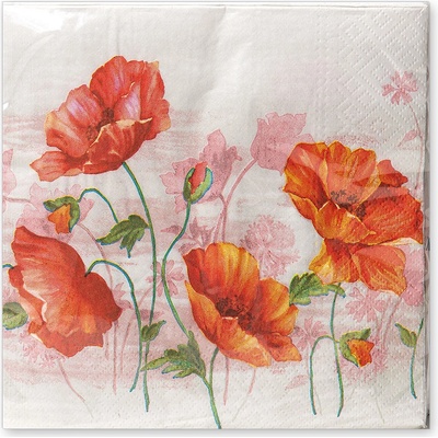 Argus Papírové ubrousky 33x33 cm 20ks 19035001