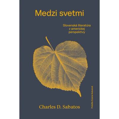 Medzi svetmi