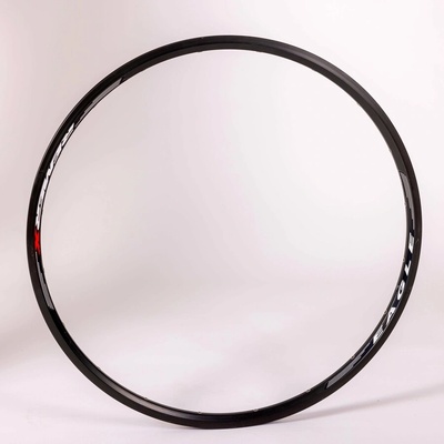 Remerx 559 Disc