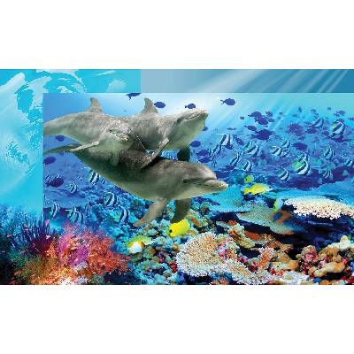 Donga Fototapeta Podmorský svet rozmery 184x254 cm