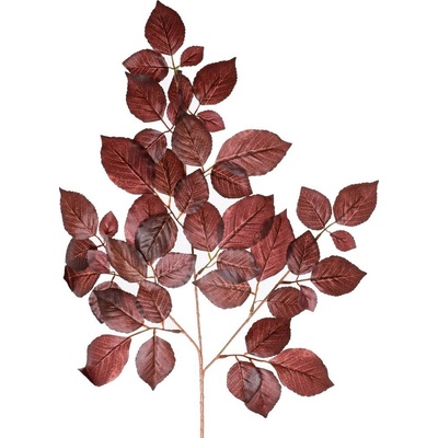 LIST FICUS ČERVENÝ 56CM