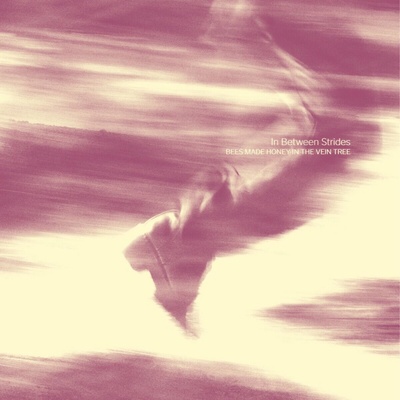 Bees Made Honey In The Vein Tree - IN BETWEEN STRIDES LP