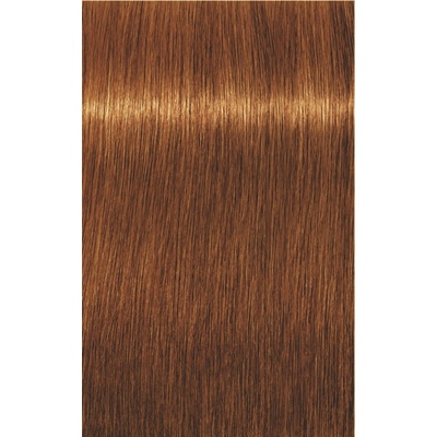 Schwarzkopf Igora Royal Absolutes 7-70 stredná blond medená prírodná 60 ml