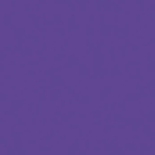 Efcolor 10 ml fialový