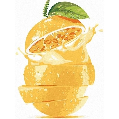 Zuty Malování podle čísel Citron 80 x 100 cm bez rámu a bez vypnutí plátna