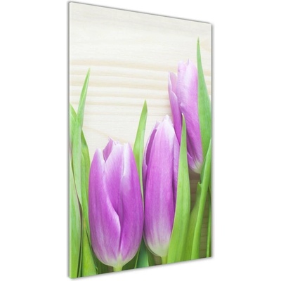 Vertikálny foto obraz fotografie na skle Fialové tulipány 50x100 cm