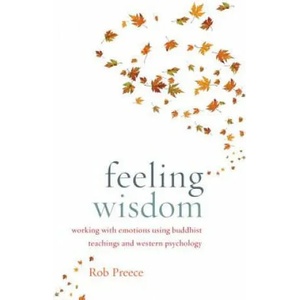 Feeling Wisdom | Rob Preece (2015)