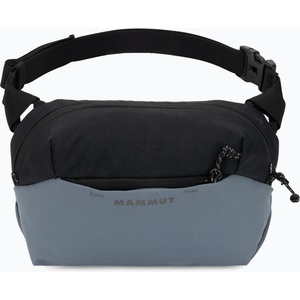 Mammut Чантичка за кръстна Mammut Alto Waistpack 2 l strata