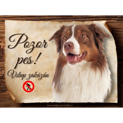 Sport hobby Cedulka Australský ovčák II Pozor pes zákaz CP1553 20 x 15 cm
