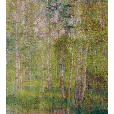DIMEX MS-3-0351 vliesová fototapeta rozměry 225 x 250 cm